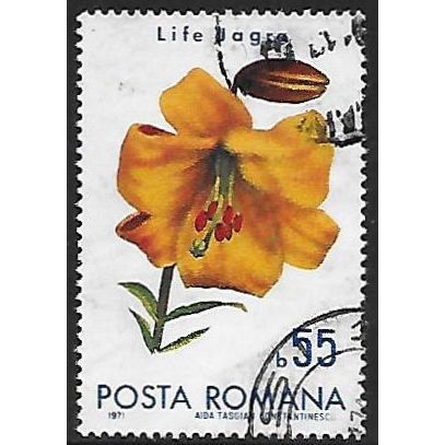 Mi 2942: 55 b. multicoloured Flowers: Life jagra