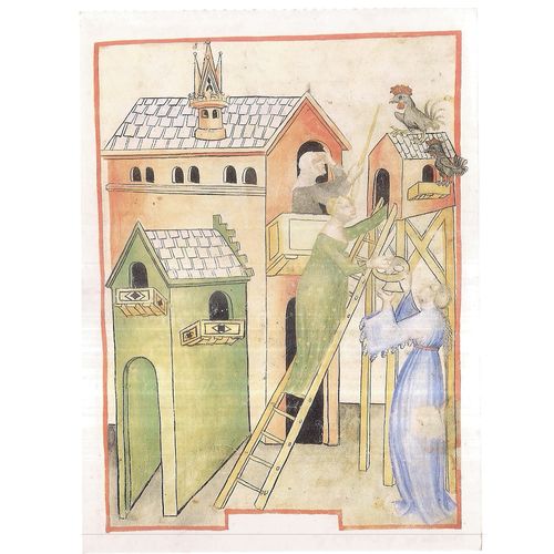 COLLECTING CHICKEN EGGS Italian painting c. 1400 used postcard 1992 =