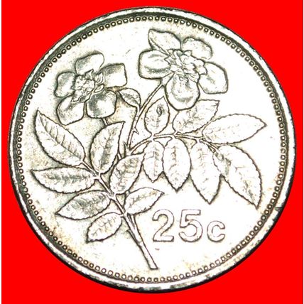 ROSE (1991-2007): MALTA ★ 25 CENTS 1991! LOW START★NO RESERVE