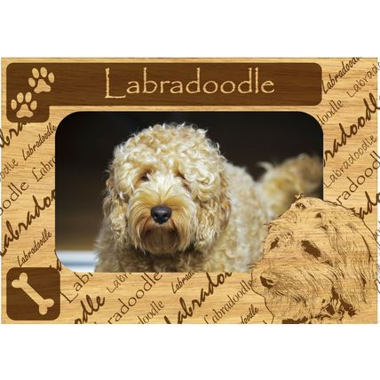 Labradoodle w Paws Engraved Wood Picture Frame Magnet