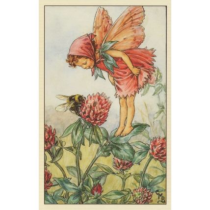 Red Clover Fairy Fairies from 1940s Book Painting Postcard