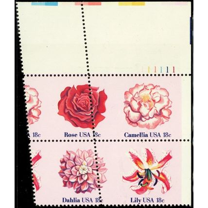 1879a, Large Misperforation Shift ERROR Plate Block of Flowers - Stuart Katz