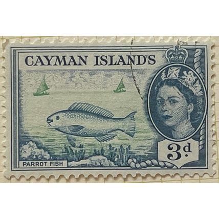 Cayman Islands QEII 1955 3d Bright Green & Blue Parrotfish Used SG154 stamp