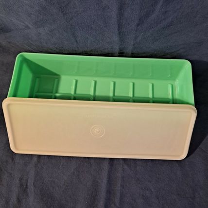 Vintage TUPPERWARE CELERY KEEPER Holder Vegetable Crisper 892 Container Canister