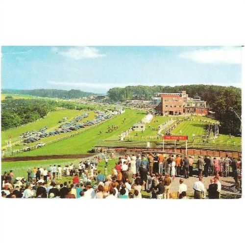 Goodwood Racecourse, Chichester, W Sussex - postcard 1969