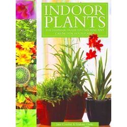 Indoor Plants
