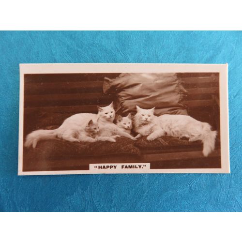De Reszke Cigarette Card Real Photographs Series No 20 Happy Family