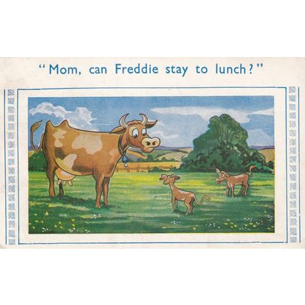 Mom , can Freddie Stay for Lunch ? Humour Postcard posted 1958 VGC