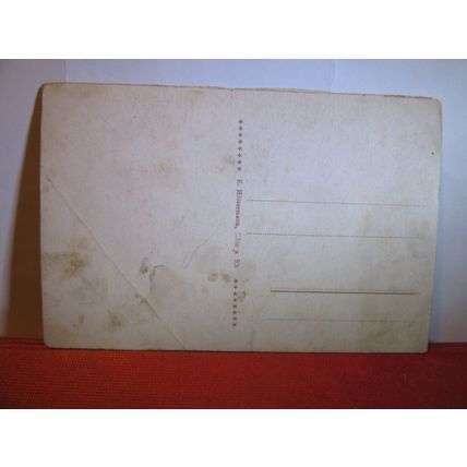 BEAR, THE ZOO, KOLN AM RHEIN, GERMANY unused antique postcard #