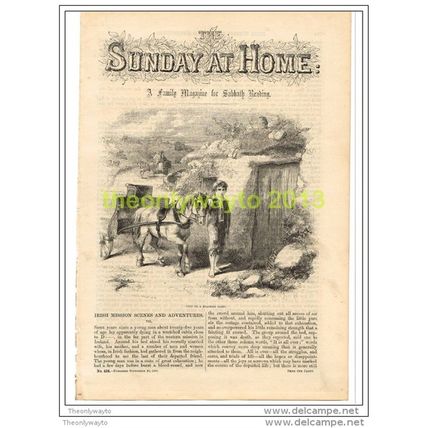 VISIT TO A ROADSIDE CABIN, IRELAND, BOOK ILLUSTRATION (PRINT), 1862