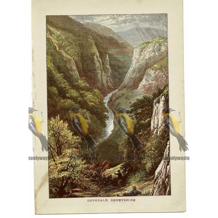 Dovedale, Derbyshire, England, Book Illustration (Print), 1891