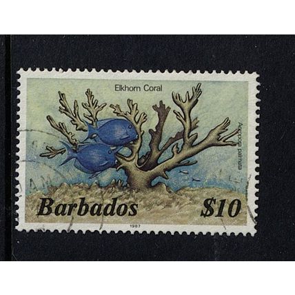 BARBADOS High Value $10 Tropical Fish stamps off paper GC, nice franking