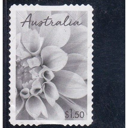 Australia 2024 - Special Occasions, Dahlia - - $1.50 s/a used*