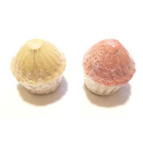 Garden Bird Food Wild Bird Seed and Suet Cupcakes by Gardman