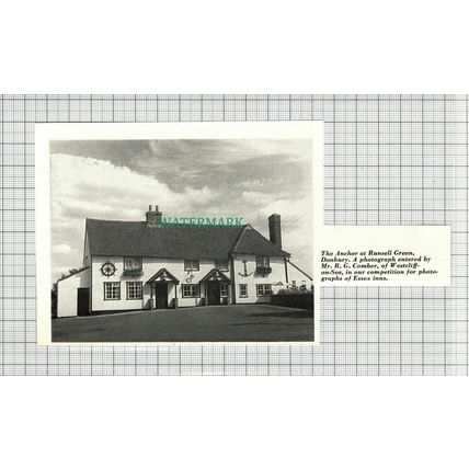 C2820) The Anchor Pub Danbury Runsell Green Essex - 1964 Cutting