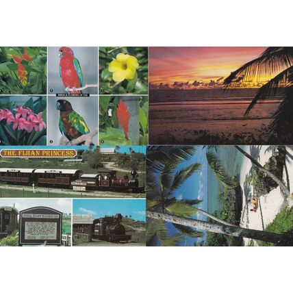 Fijian Sunbathing Birds Flowers Trains Sunset 4x Postcard s