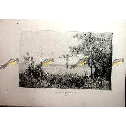 Reedy Mere & Sunlit Hills, Alfred East, Book Illustration (Print), 1891