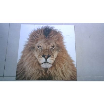 CREATURE by Andrew Zuckerman. Double-Sided Floor Puzzles 16 Large Piece Jigsaws