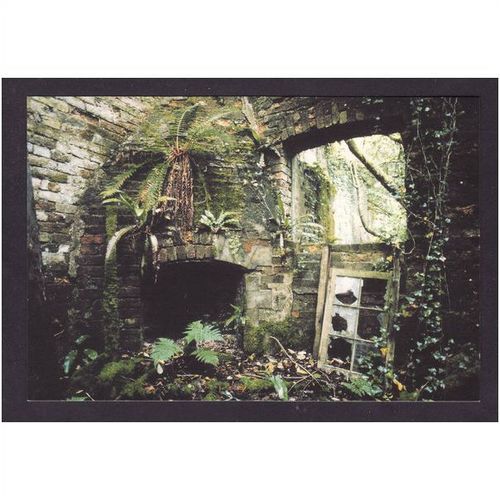 THE LOST GARDENS OF HELIGAN - HEAD GARDENERS OFFICE - NICE COLOURED PHOTO UNUSED