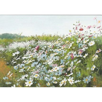Sang Yeol Lee Field of Daisies Postcard Unused VGC