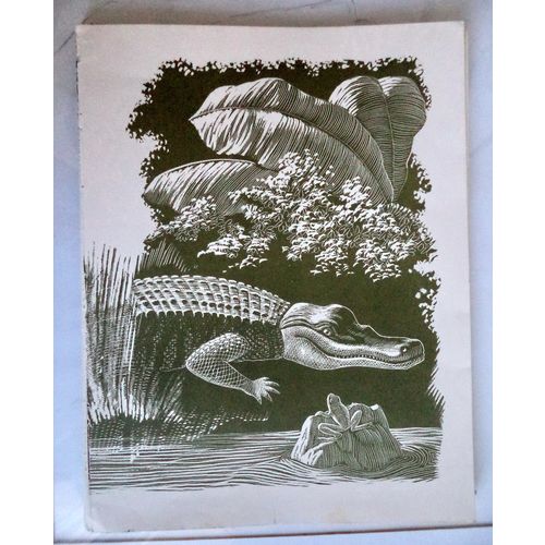 Vintage Everett Woodcut Crocodile Frog Jungle Animals Print Children Decor Art