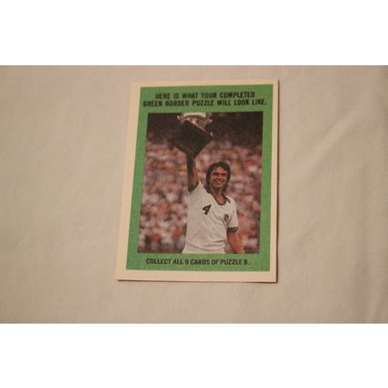 Washington Diplomats 1979 Topps LOGO STICKER NO. 25
