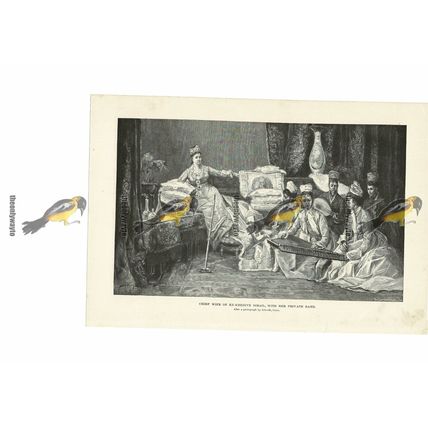 Chief Wife Of Khedive Ismail, With Band, Egypt, Book Illustration (Print), 1891