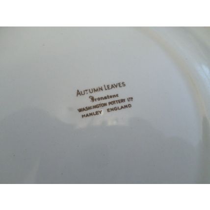 Washington Pottery - Autumn Leaves - Side Plate