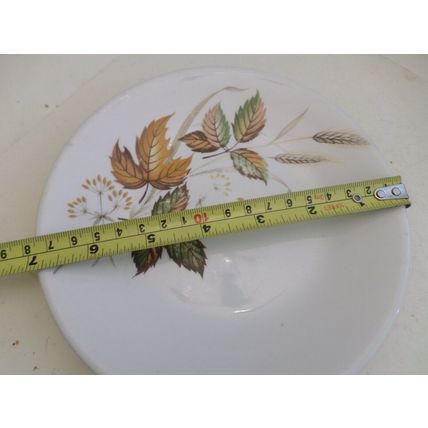 Washington Pottery - Autumn Leaves - Side Plate