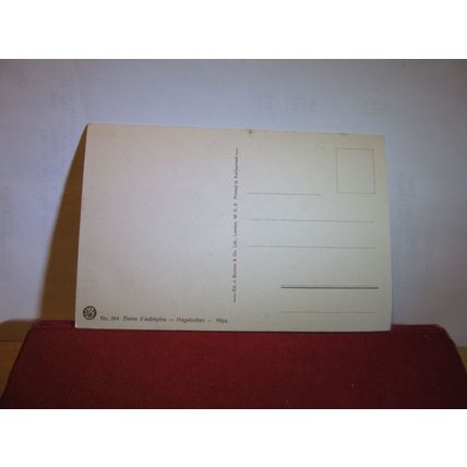 ROSE HIPS flowers unused vintage postcard =