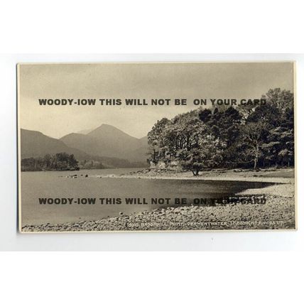 Ju910 - Derwentwater , Broomhill Point - Judges postcard 16916