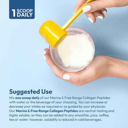 ANDREW LESSMAN Marine, Free Range Collagen Peptides Powder and MSM 60 Servings -