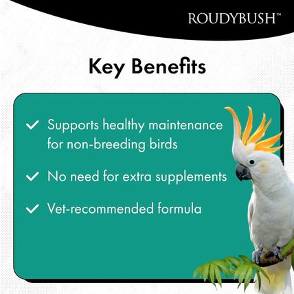 Roudybush Daily Maintenance Bird Food, Mini, 10-Pound