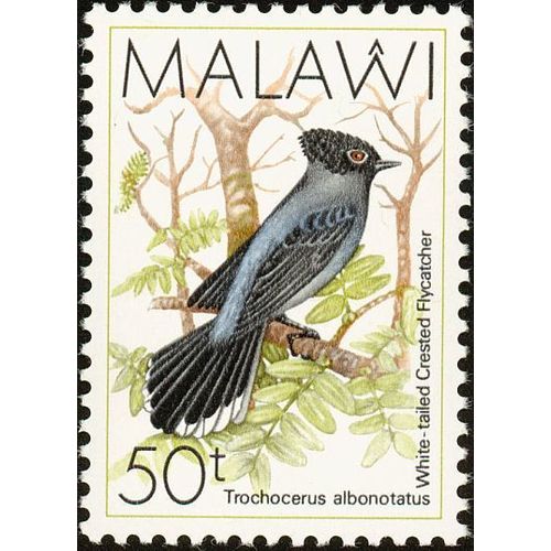Malawi 1988 50t White Tailed Crested Flycatcher Unmounted Mint SG 799 bird stamp