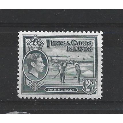 Turks&Caicos.SG198 2d Raking Salt (Grey).Mounted Mint.Aug24c