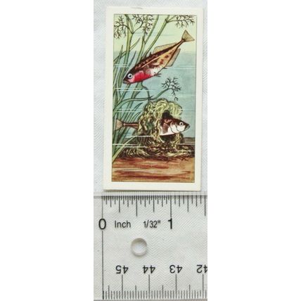 Choicest Tips Tea card Pond Life No. 11 Sticklebacks & Nest