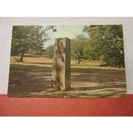 THE RUFUS STONE, NEW FOREST, HAMPSHIRE used vintage postcard 1965 pm =