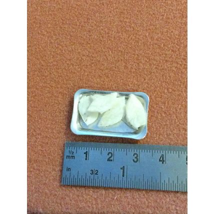 Tray of White Fish Fillets 1:12th Dolls House Miniature