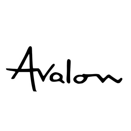 2 x Talbot Express Auto Homes Avalon Decal Sticker 16" X 6" Design 2 More Colors