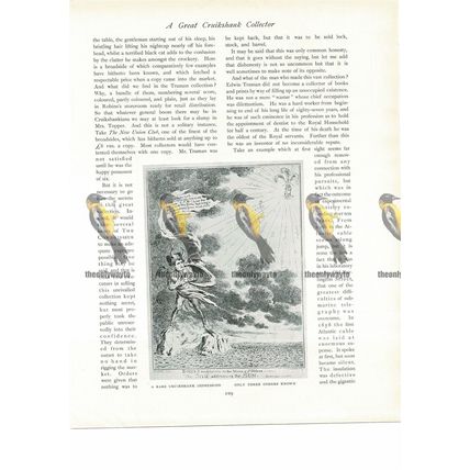 Boney's Meditation on St Helena, Cruikshank, Book Illustration (Print), 1906