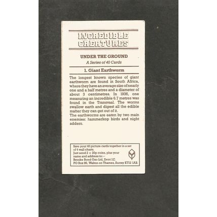 Brooke Bond Incredible Creatures Thick Back Sticker # 1 Giant Earthworm