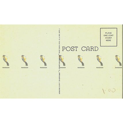 Greetings From Vermont, USA, Art Colortone Curteich Postcard, 1940/50s