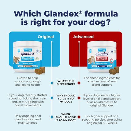Vetnique Glandex Anal Gland Soft Chew Treats with Pumpkin for Dogs Digestive Enz
