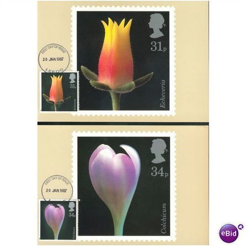 GB PHQ + FDI 1987 - Flower