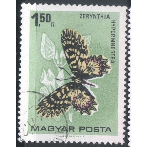 Hungary 1966 - SG2155 - 1fo.50 multi - Southern Festoon - used