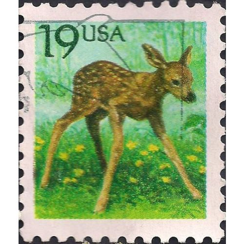 USA, MAMMALS, Fawn, green 1991, 19c