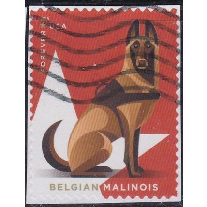 USA, 2019 (55c) Military Working Dogs, SG 6021 (Scott #5407), used on piece.