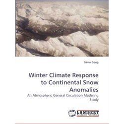 Winter Climate Response to Continental Snow Anomalies