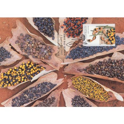 Australia Acacia Seeds Aborigine Food Rare First Day Cover Postcard