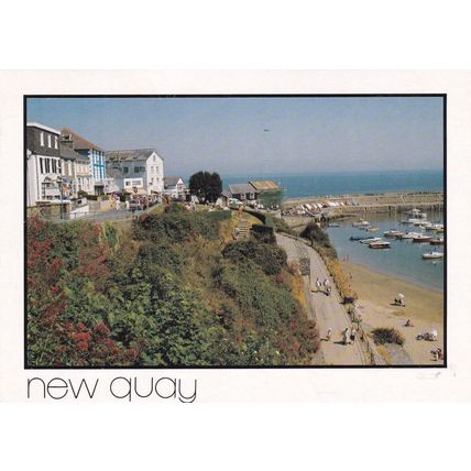 New Quay Ceredigion Postcard posted crease